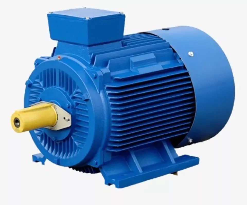 catalog